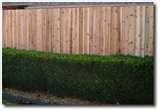 images of 6 Foot Fence Panels