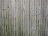 images of Wood Fence Panel