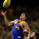 Fence Panel Afl images