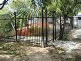 Fence Panel And Gate photos