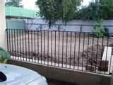 images of Fence Panel Au