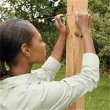 Fence Panel Brace pictures