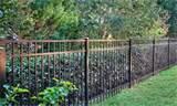 pictures of Fence Panel Cheshire