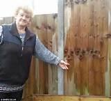 Fence Panel Crafts photos