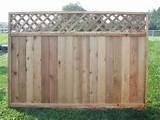 photos of Fence Panel Cypress