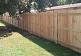 Fence Panels Derbyshire images