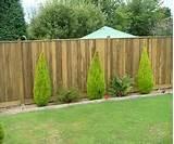 images of Fence Panel Hampshire