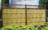 images of Fence Panel Ground