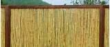 Fence Panel Hazel Fence Panel Hazel