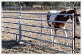 Fence Panel Horse photos